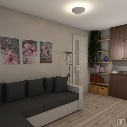 Home in budget in the apartment of the special project