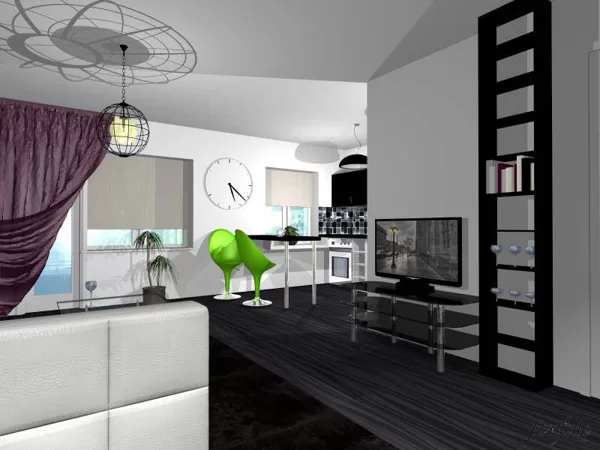 Bachelor's apartment